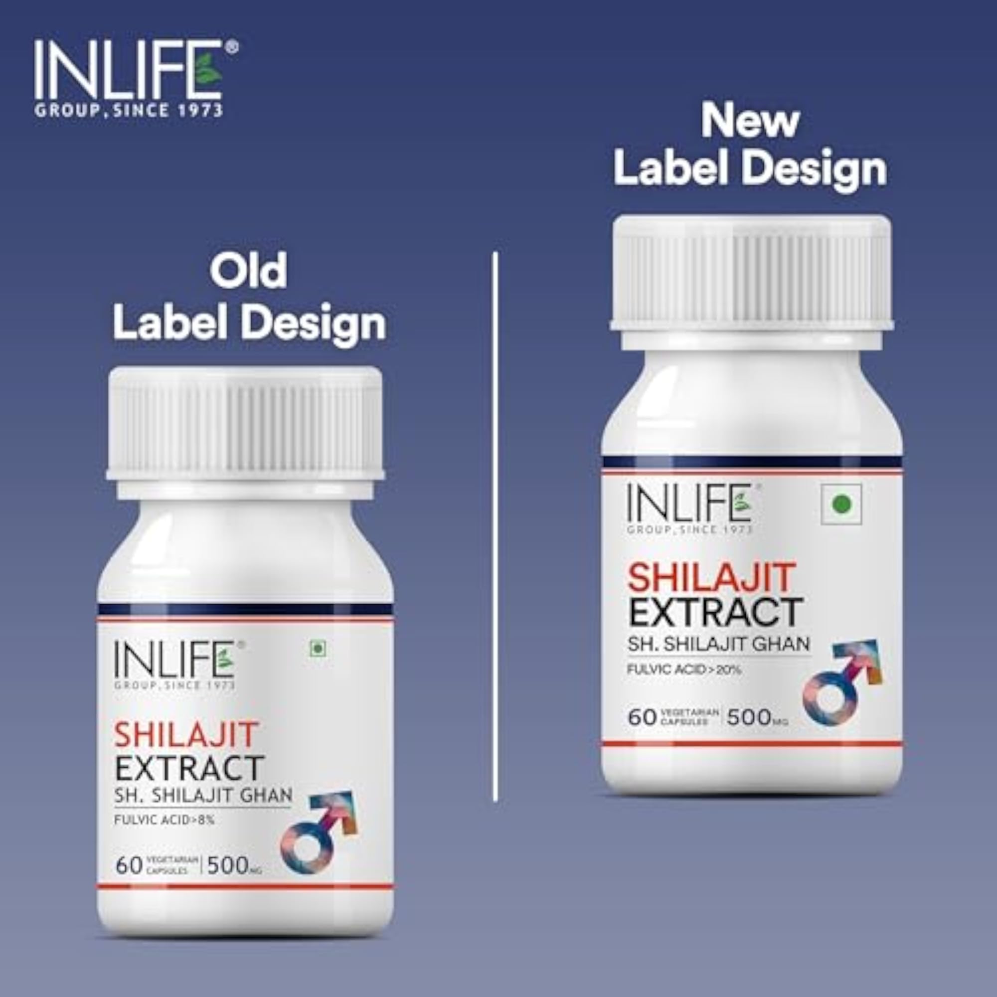 INLIFE Pure Shilajit Extract Supplement, 500mg, Strength Booster